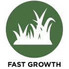 Fast Growth