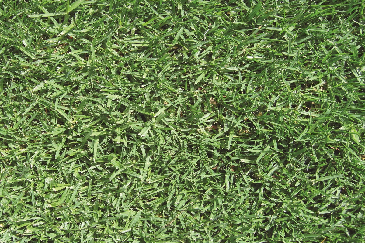 banner-post-image