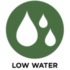 Low Water