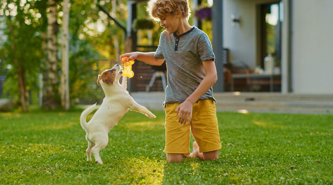 Lawnspiration_Hero01