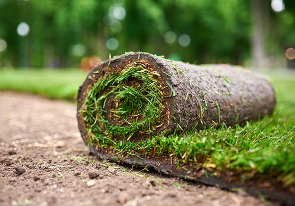 Lawnspiration_TurfRoll