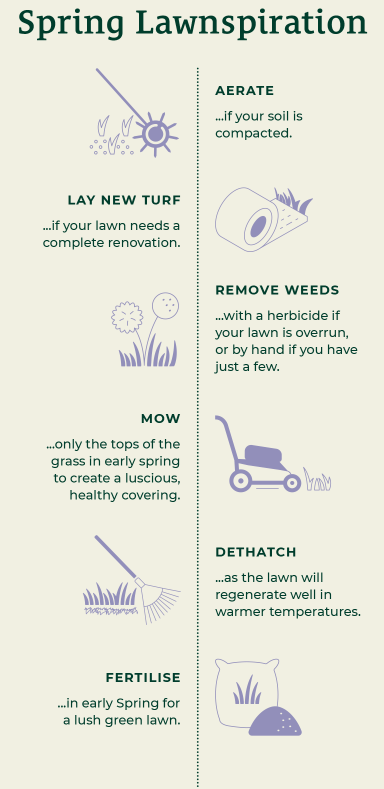 Spring Lawnspiration
